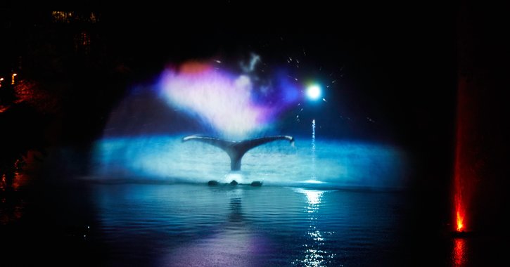 Mysticète - Lumiere artwork 3D projection of a Baleen whale 